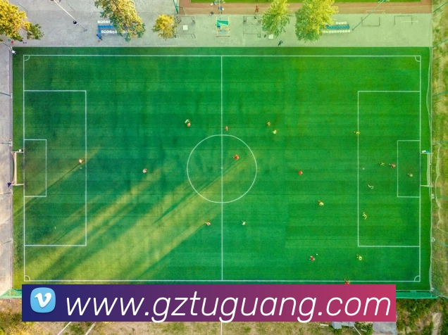 App Interface Preview