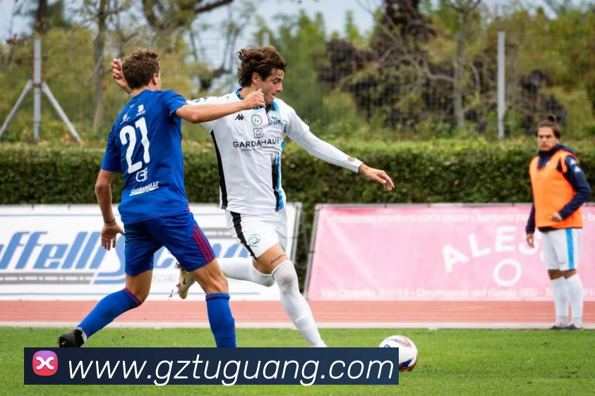 数据防护可视化